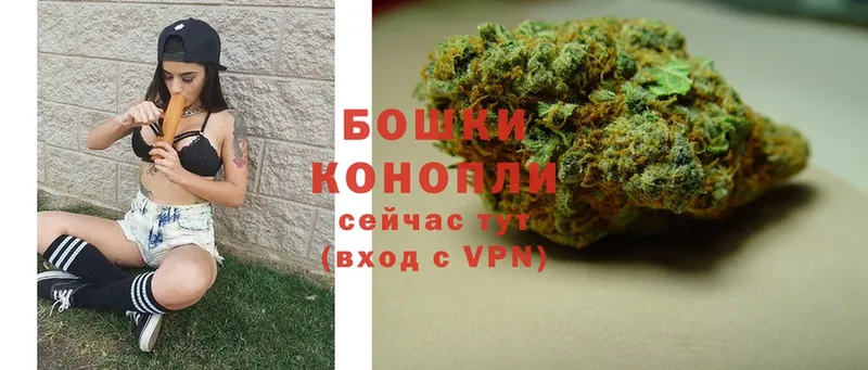 купить наркотик  Слюдянка  Канабис индика 